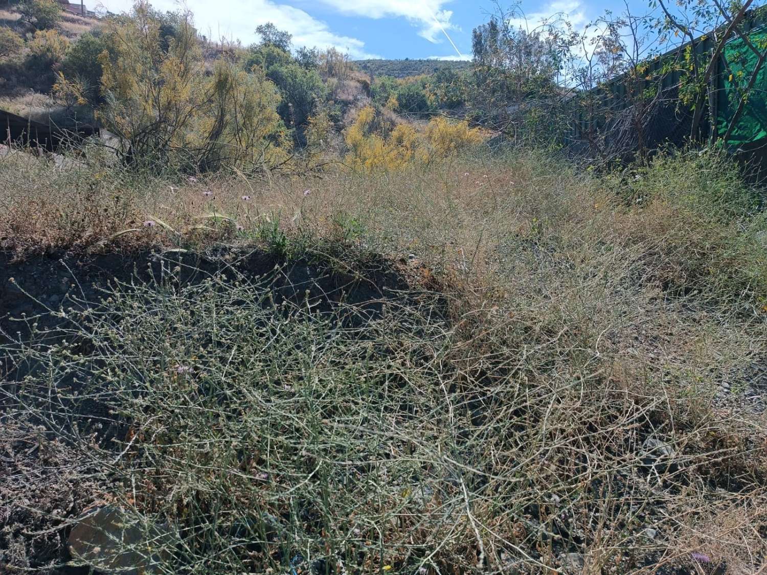 Plot salgai in Rincón de la Victoria