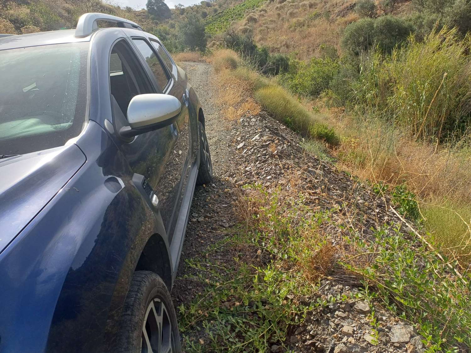 Parcela rustica de viñas y olivos en almachar