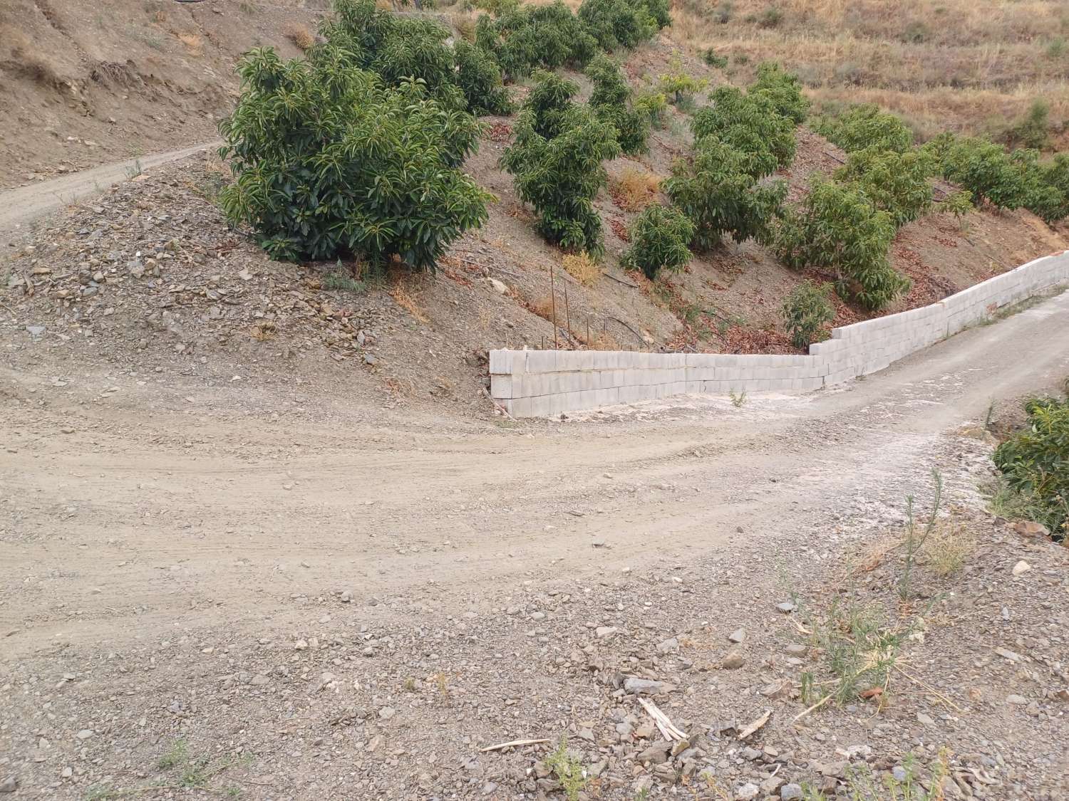 ferme à almachar avec structure et maison à outils