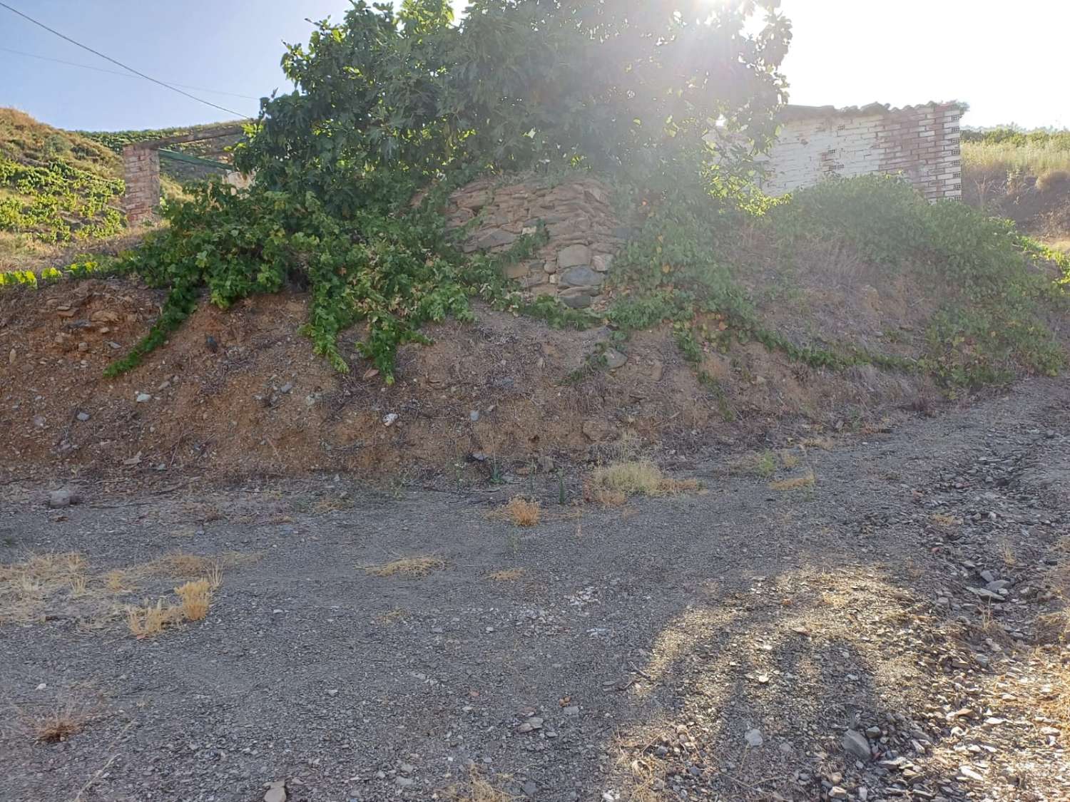 maison avec terrain à el borge à réformer