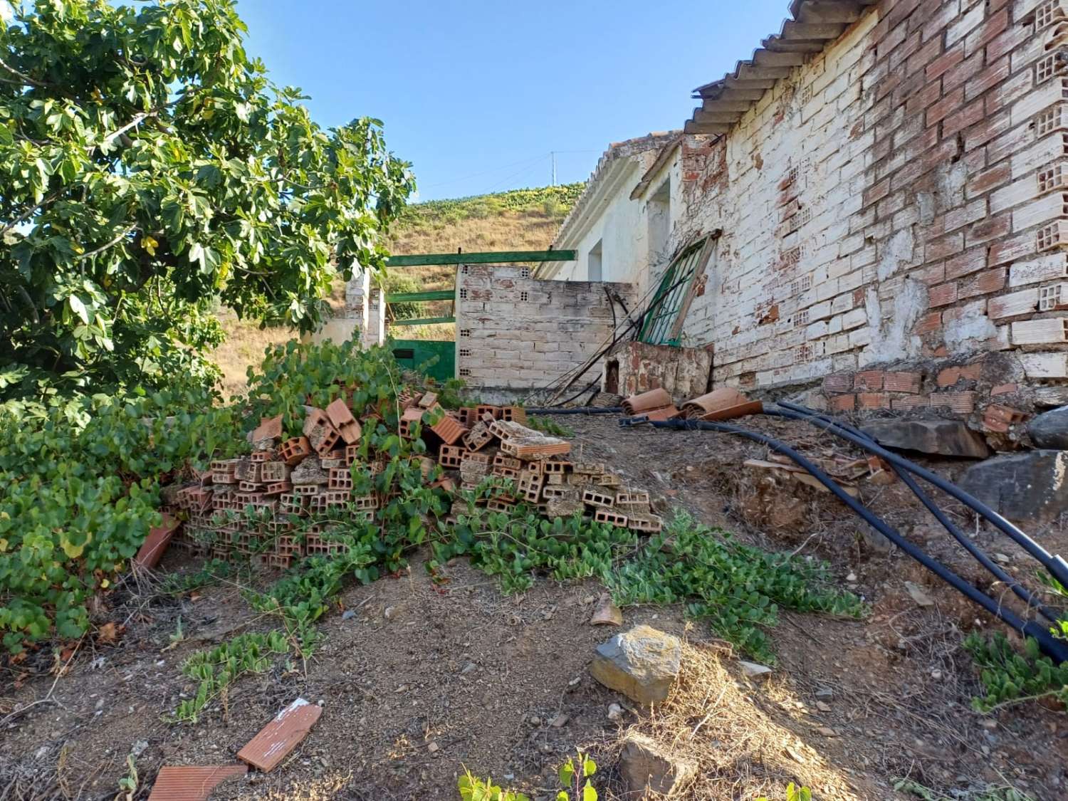 maison avec terrain à el borge à réformer