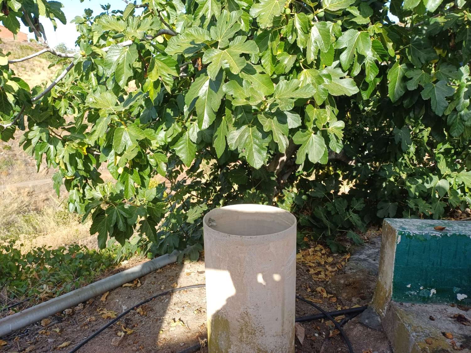 casa con terreno a el borge da riformare