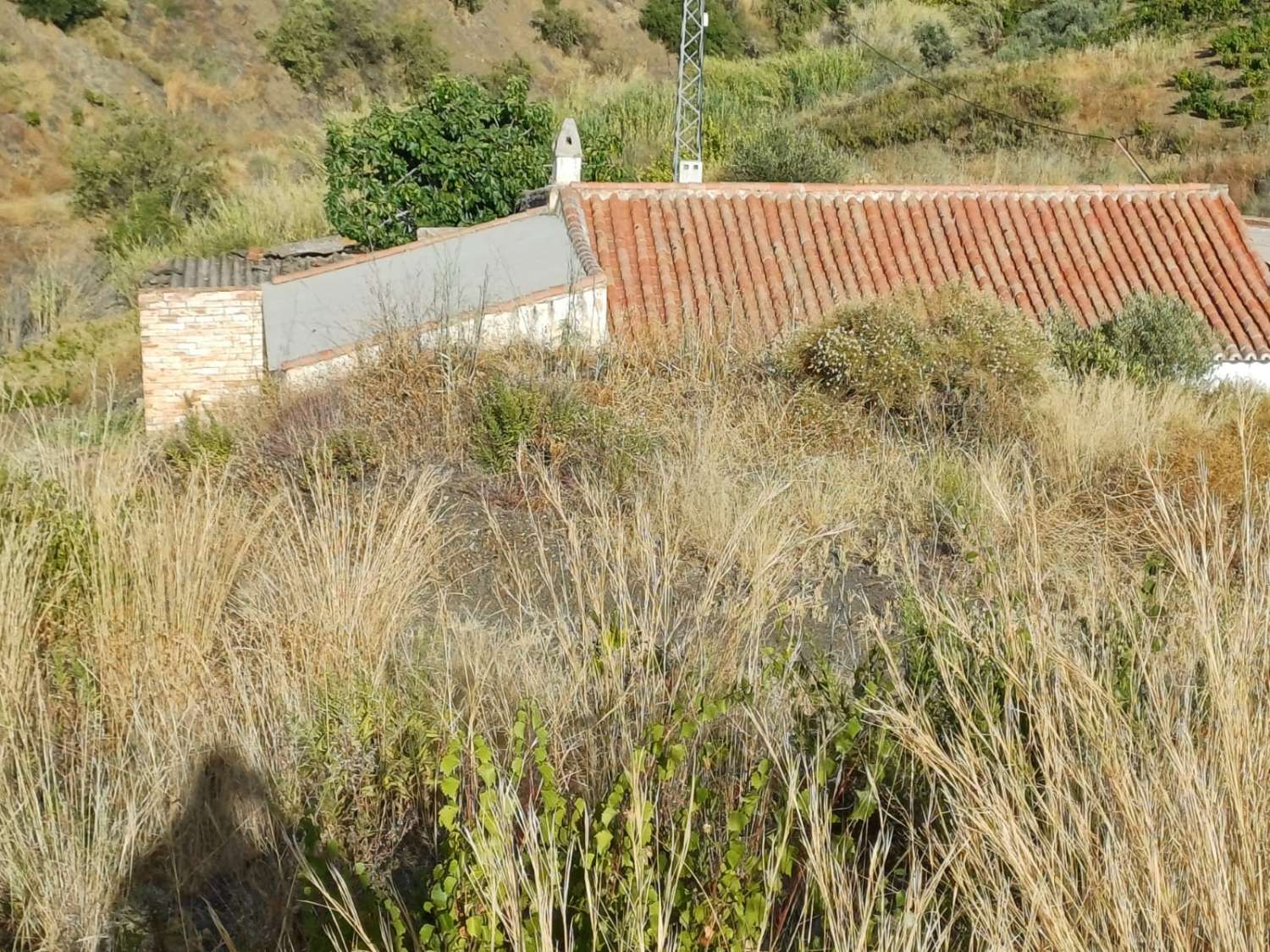 maison avec terrain à el borge à réformer