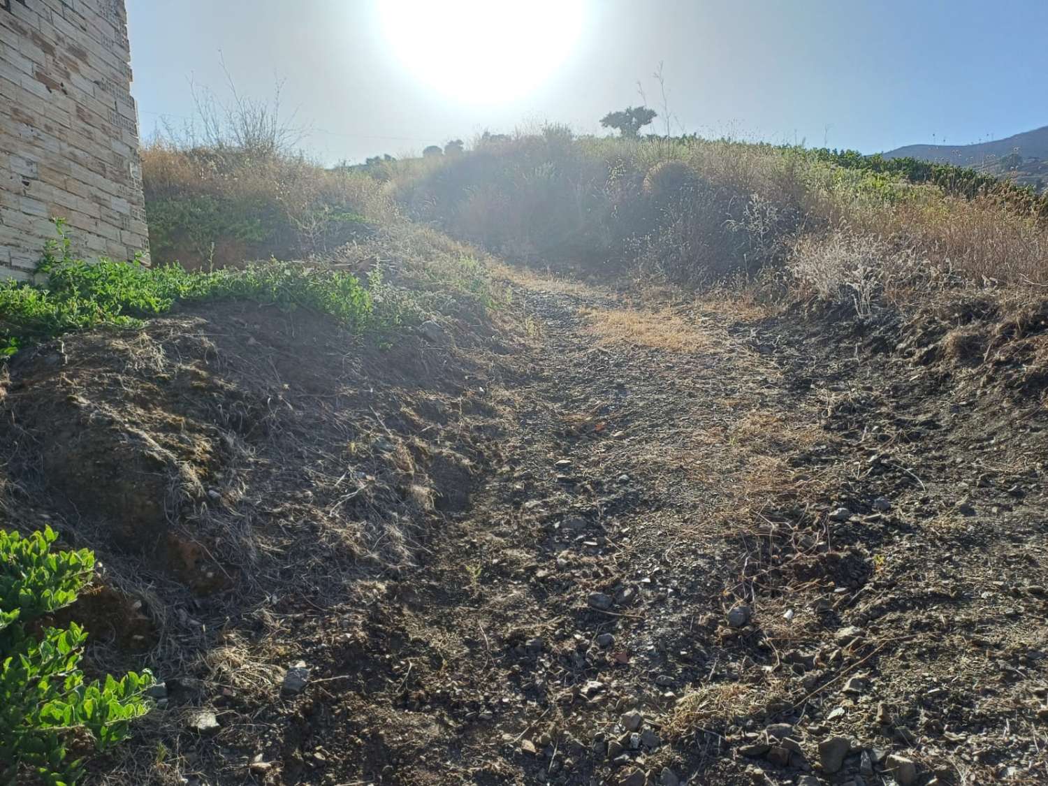 maison avec terrain à el borge à réformer