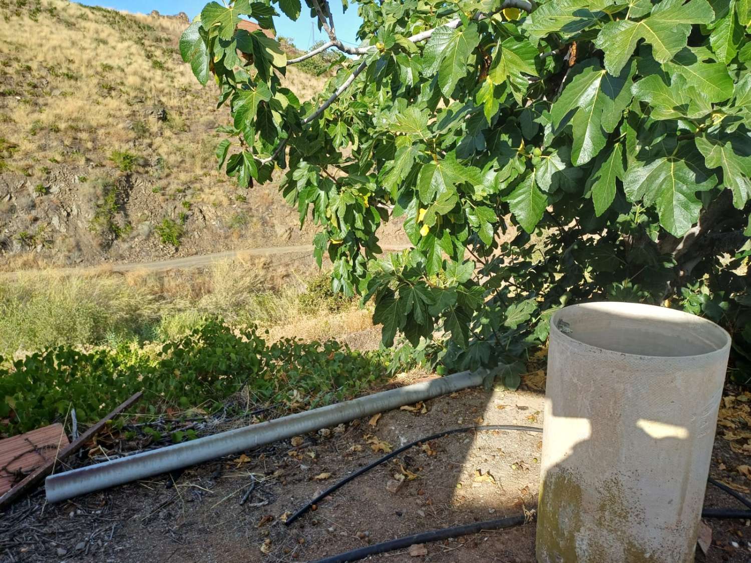 casa con parcela en el borge para reformar