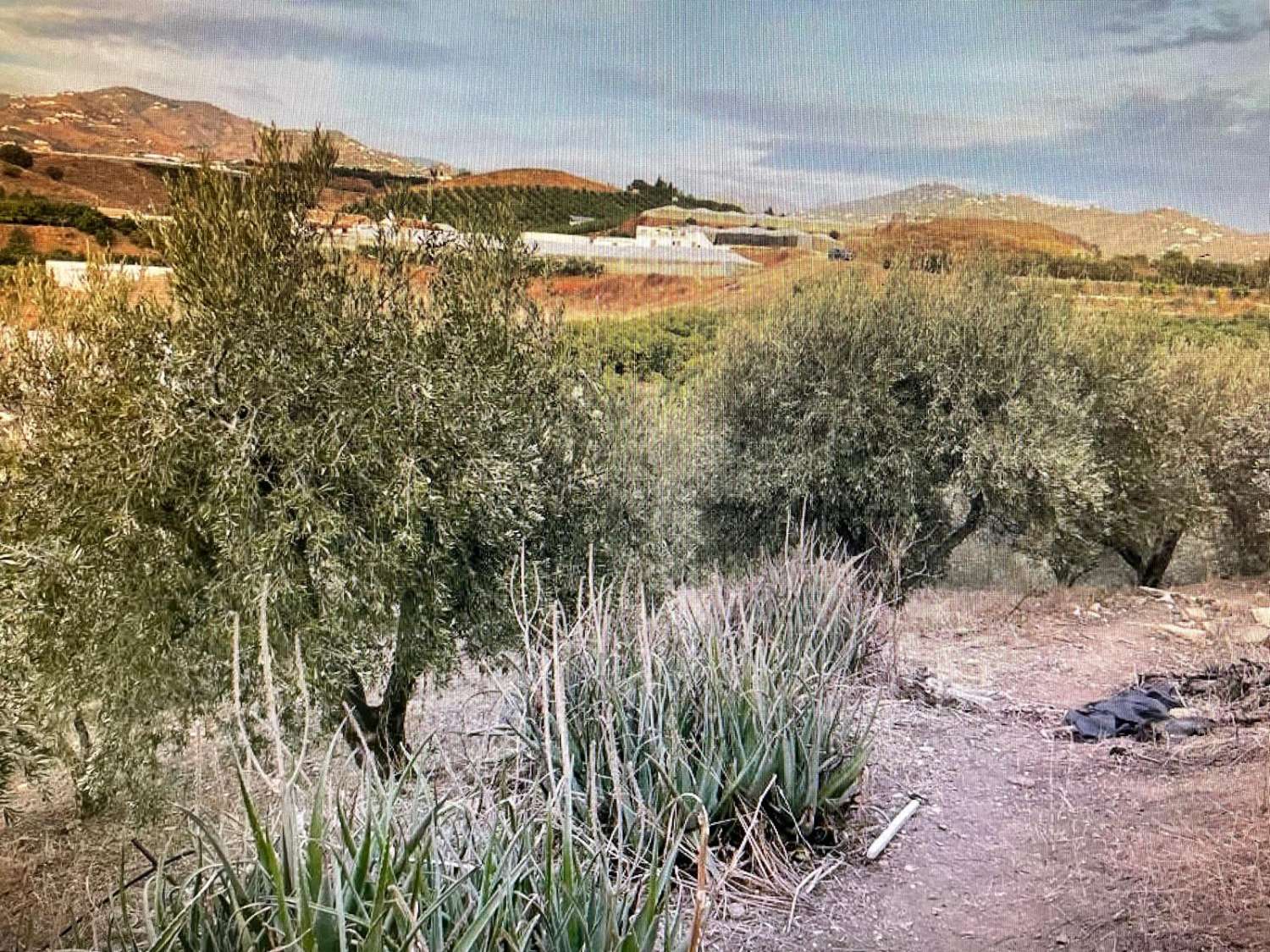 hus med tomt i la caleta de velez att reformera