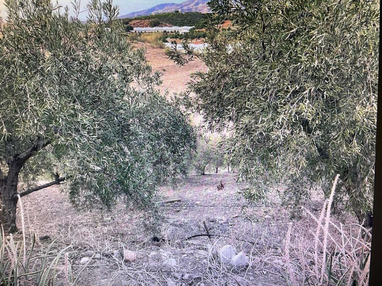 casa con parcela en la caleta de velez para reformar