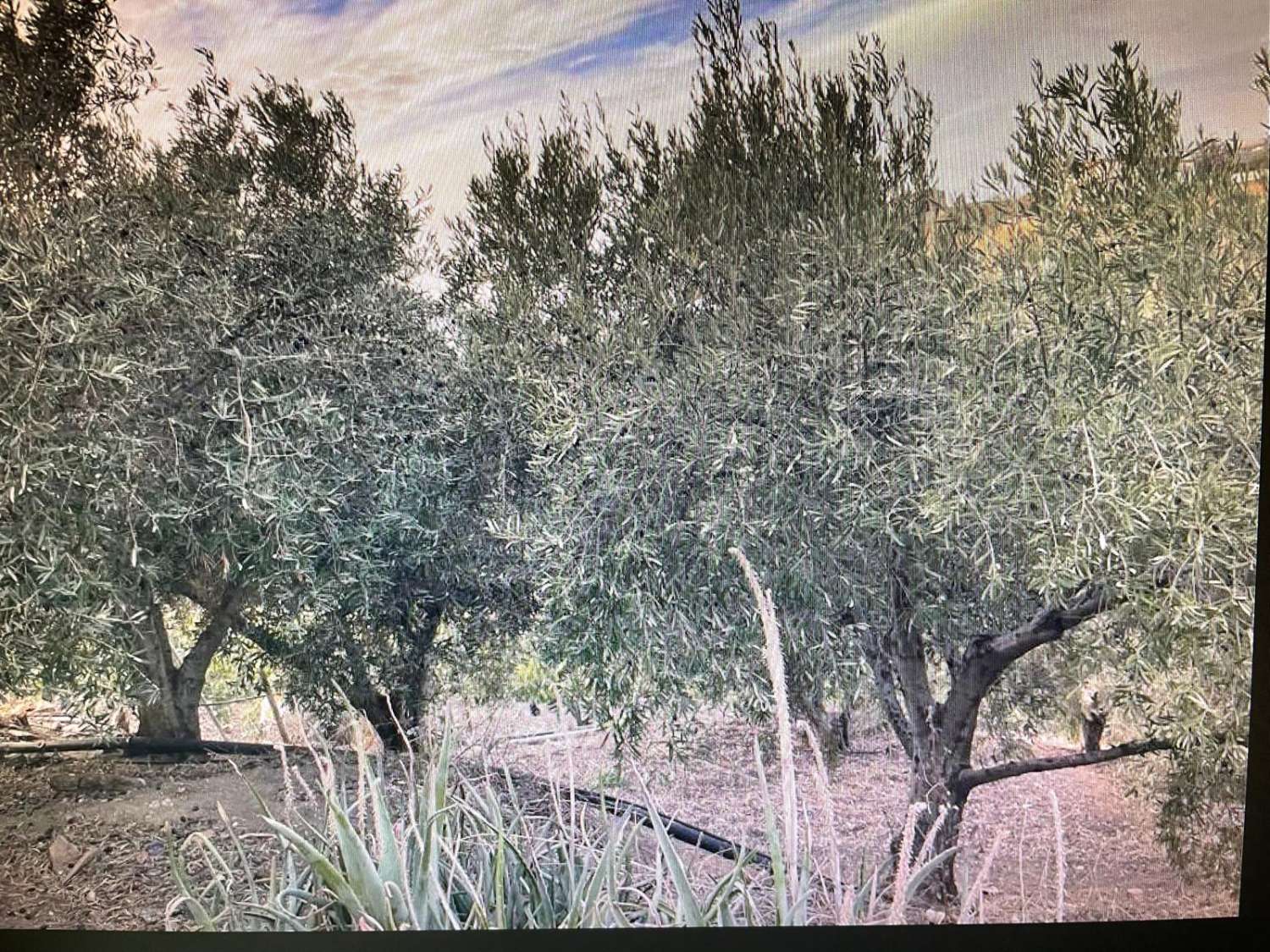 casa con parcela en la caleta de velez para reformar