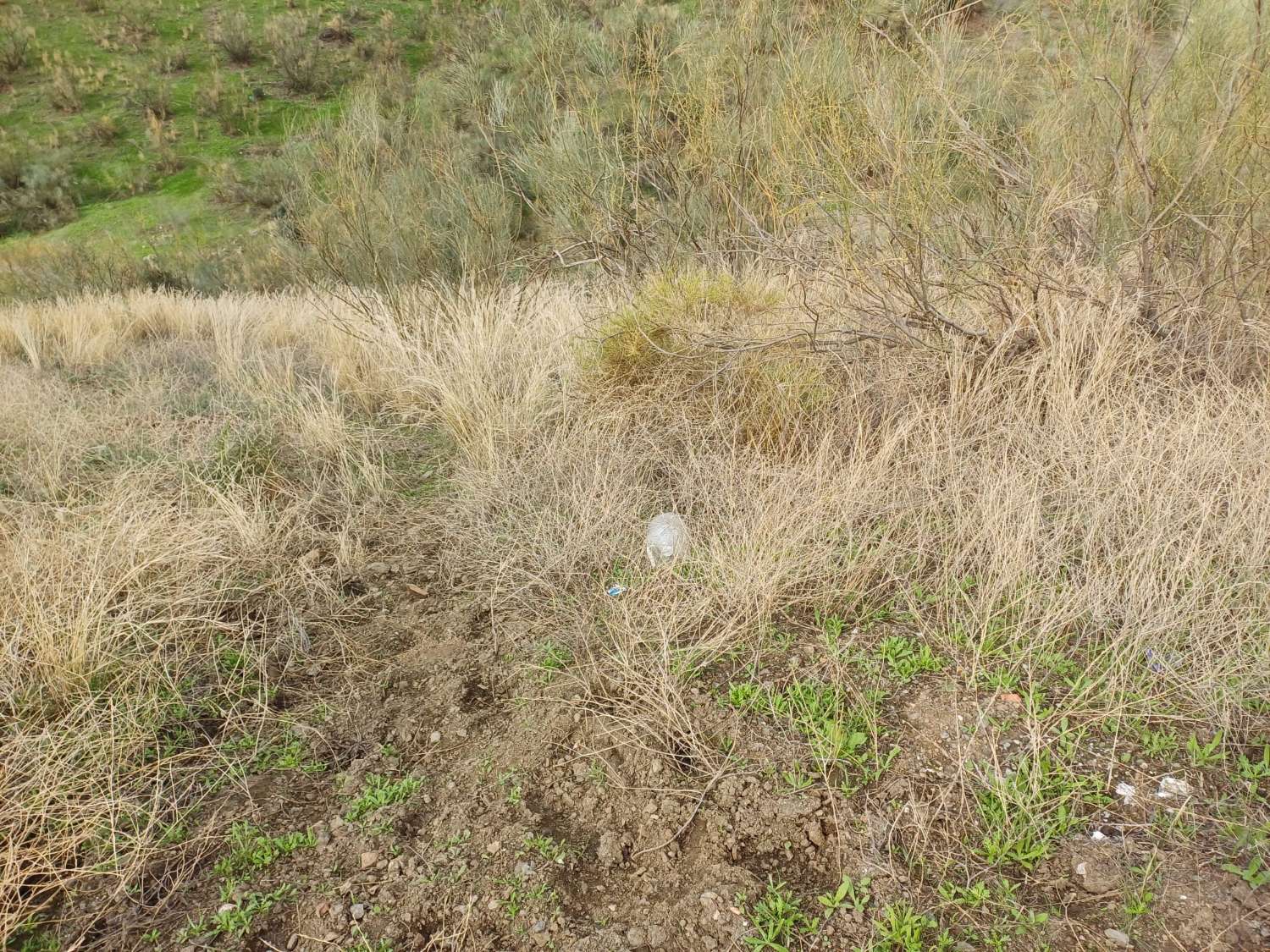 Plot salgai in Rincón de la Victoria