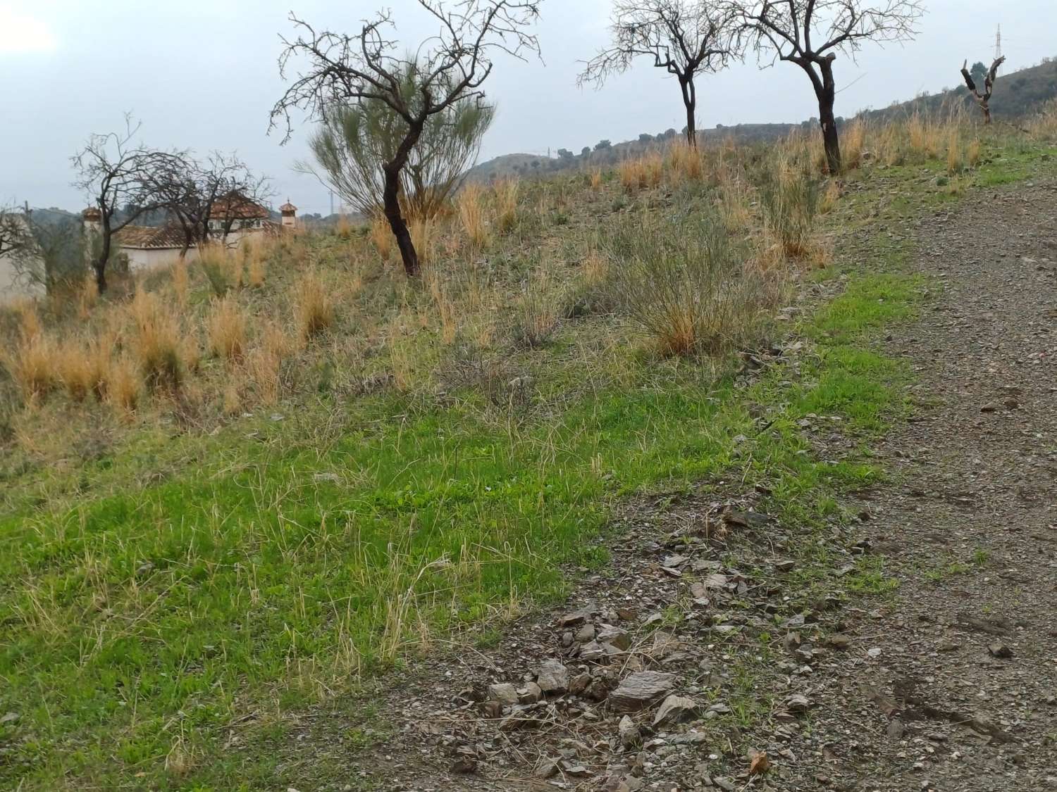 Plot salgai in Rincón de la Victoria