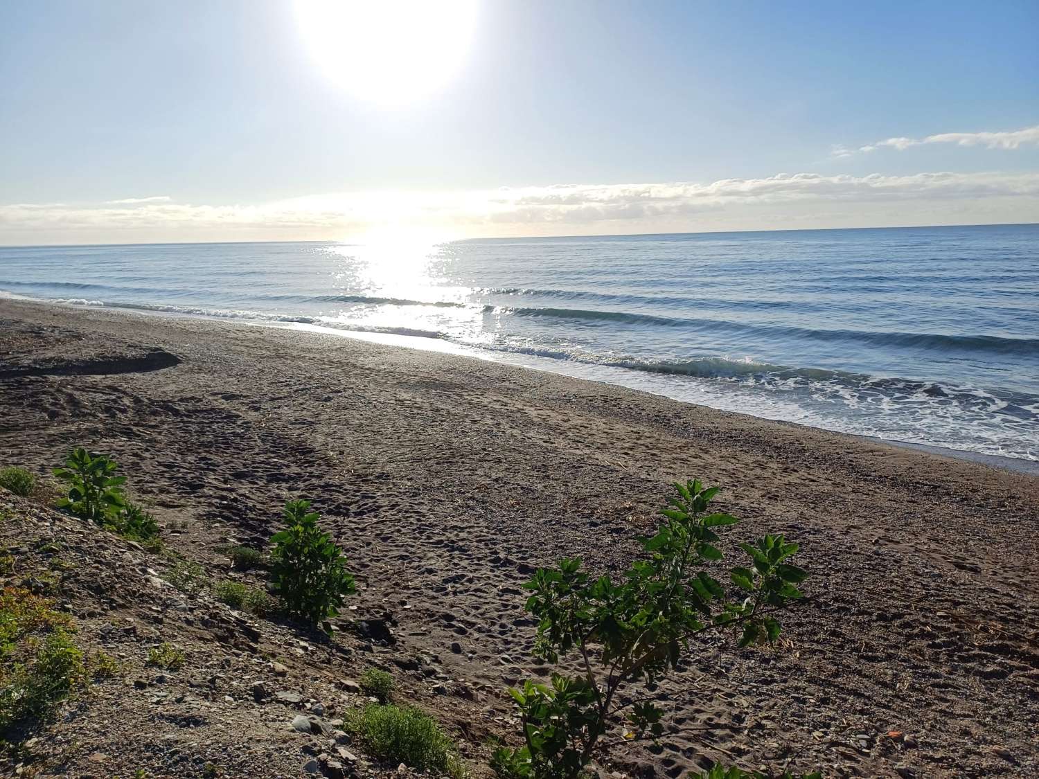 Parcela en el morche con agua