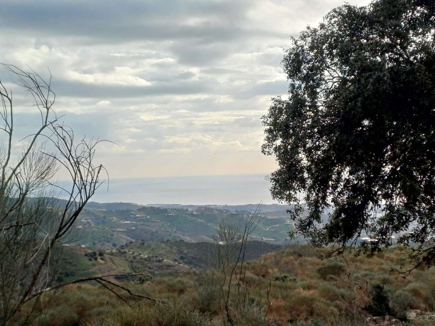 Parcela en macharaviaya con vistas al mar