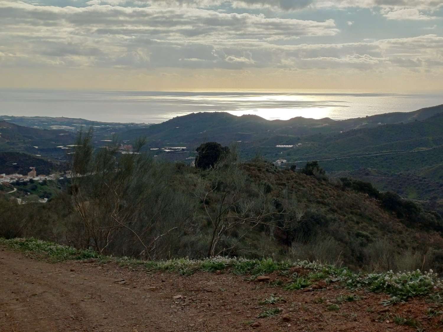 Parcela en macharaviaya con vistas al mar