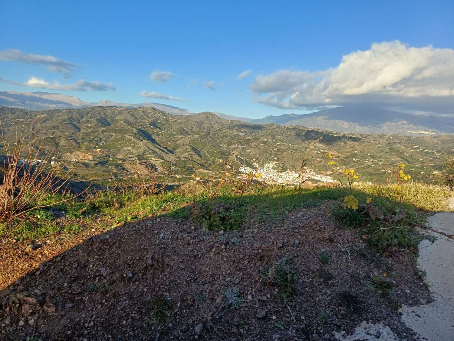 parcela en benamargasa puesto de viñas