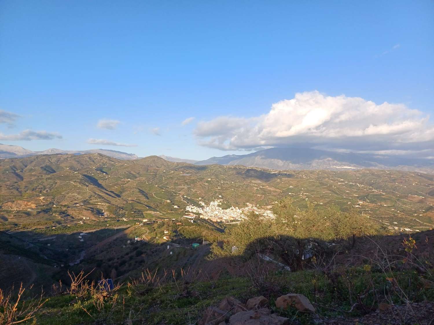 parcela en benamargasa puesto de viñas