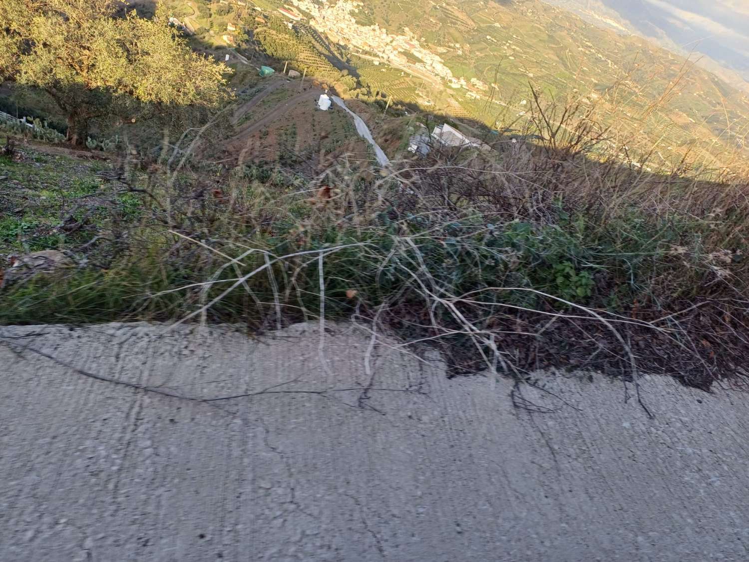 parcela en benamargasa puesto de viñas