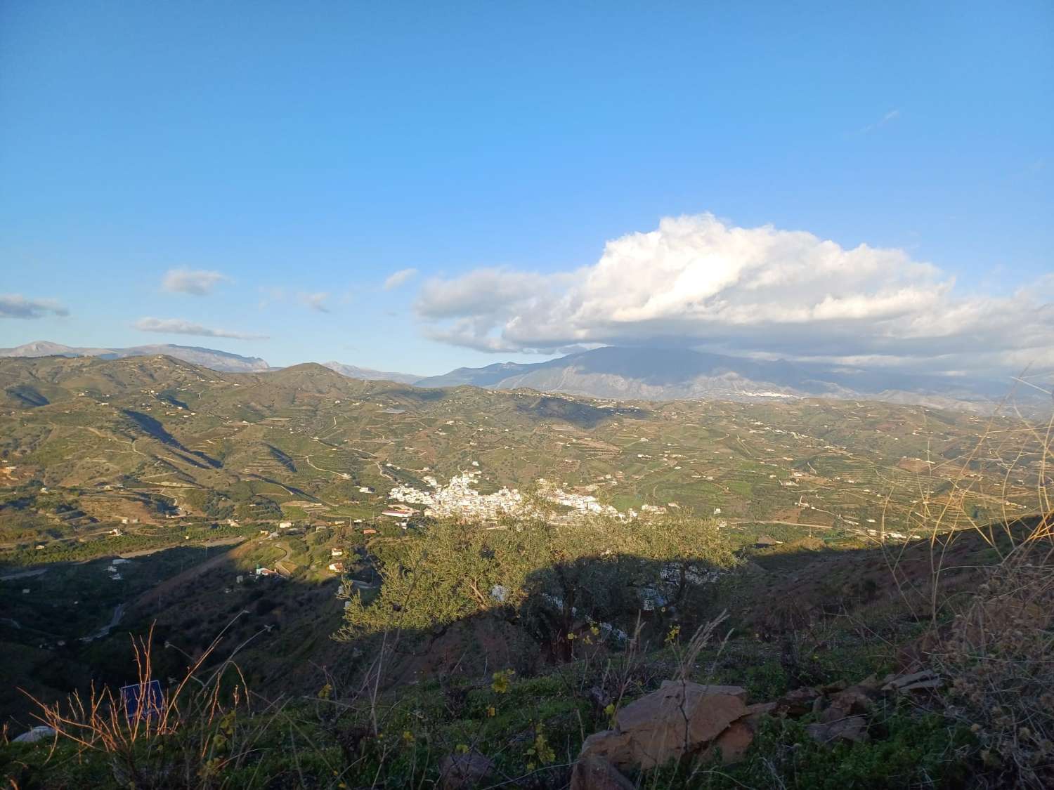 parcela en benamargasa puesto de viñas