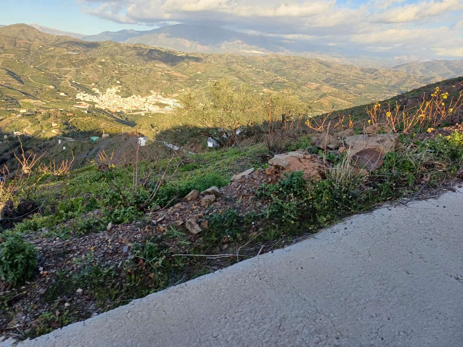 parcela en benamargasa puesto de viñas