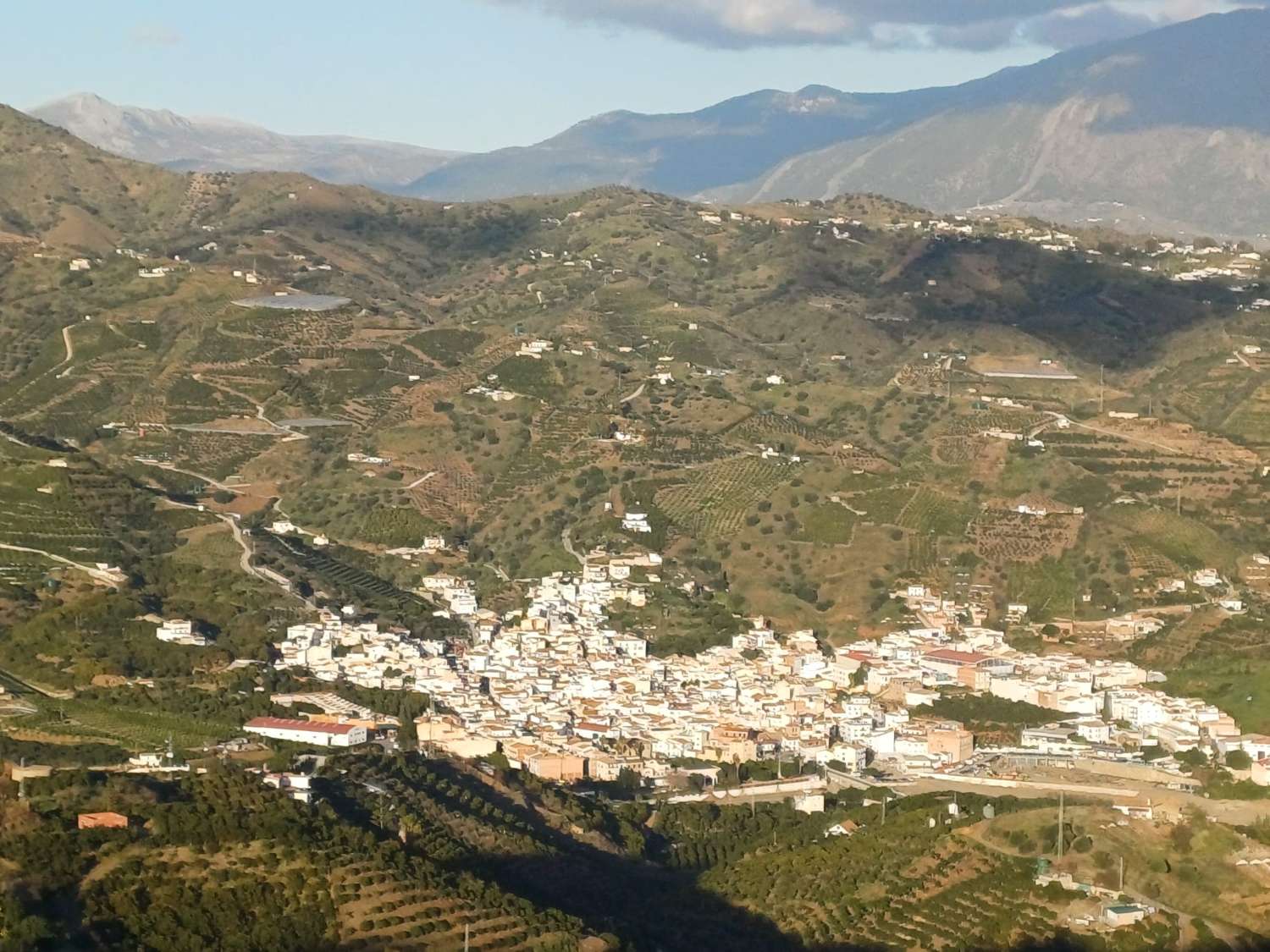 parcela en benamargasa puesto de viñas