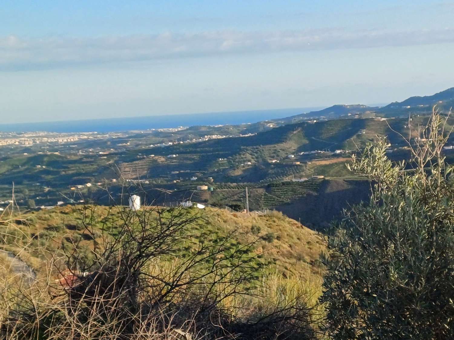 Parcela en almachar puesto de olivos