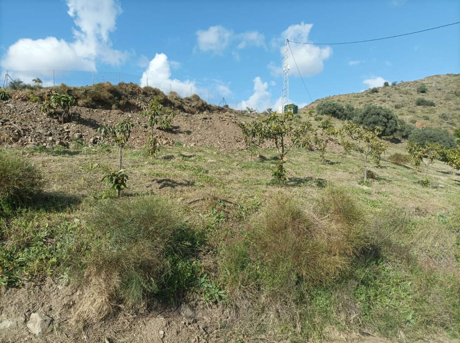 Terrain à Triana avec vue sur la mer