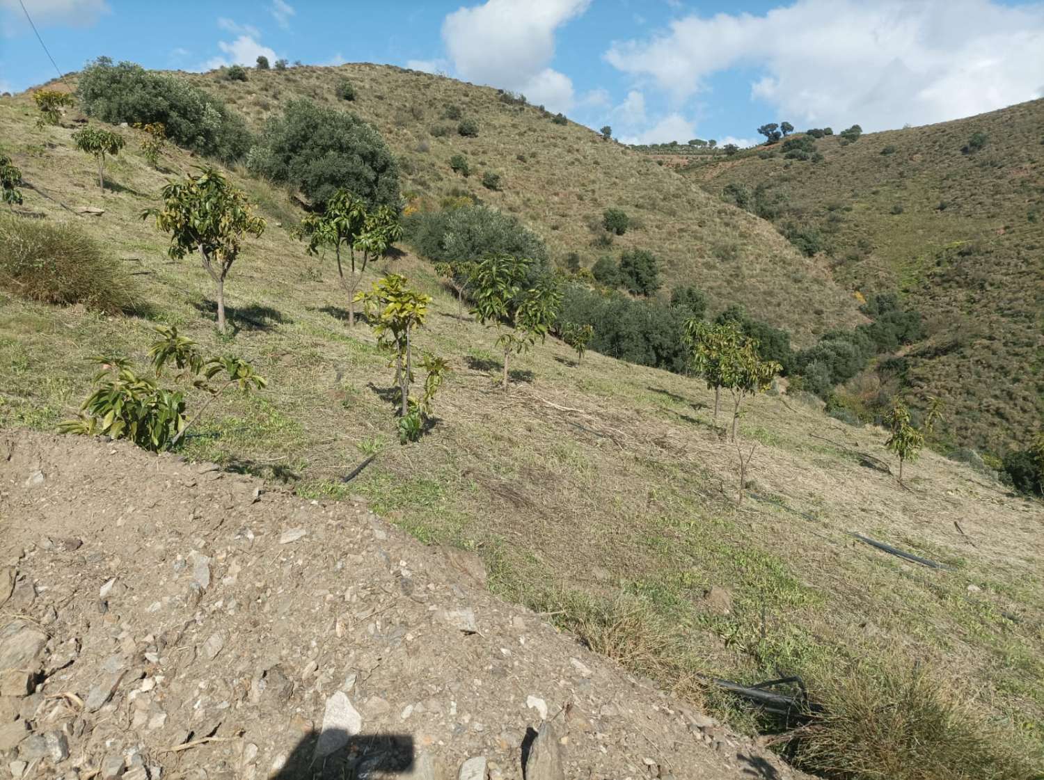 Terrain à Triana avec vue sur la mer