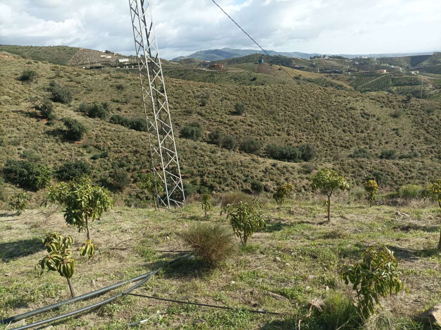 Terrain à Triana avec vue sur la mer