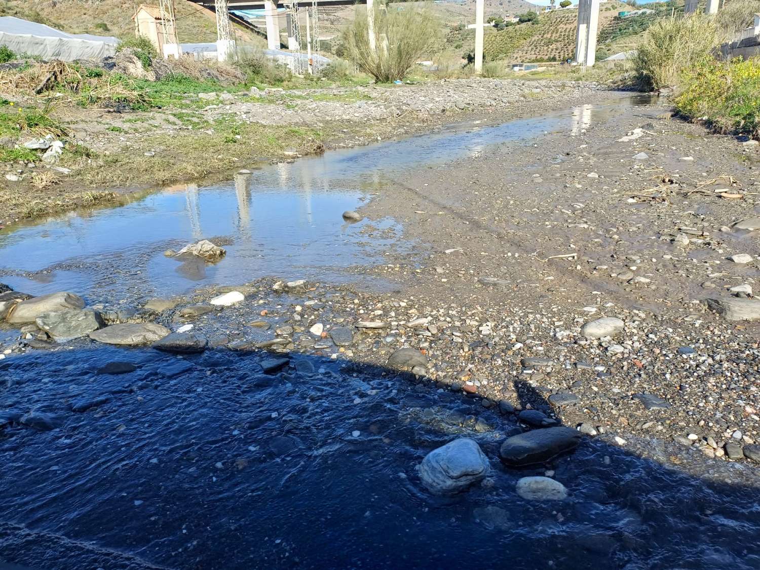 Parcela de aguacates con agua