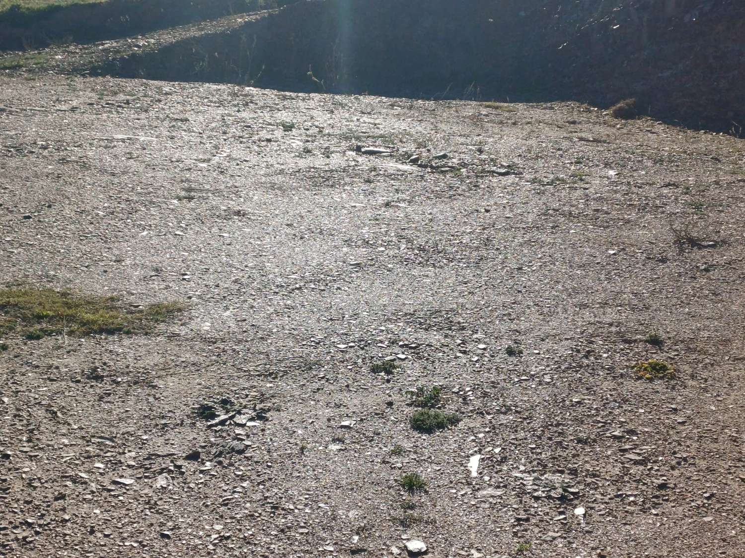 Parcela en moclinejo con agua