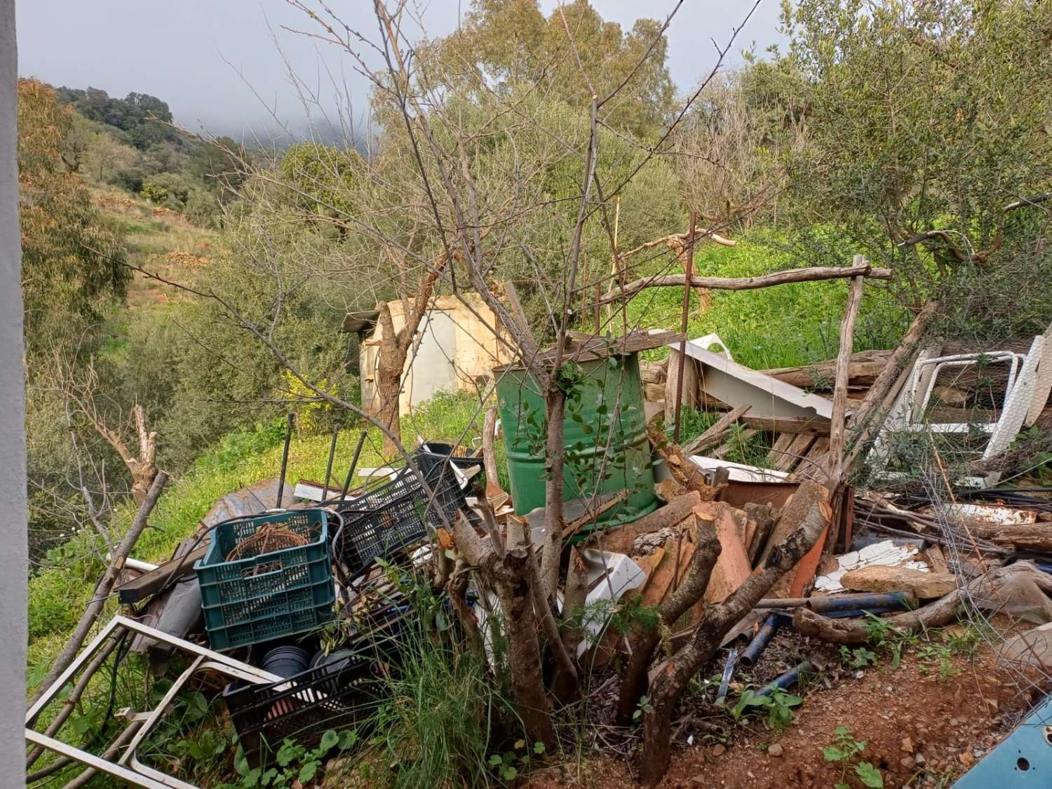 Parcela en olias con almacen de aperos