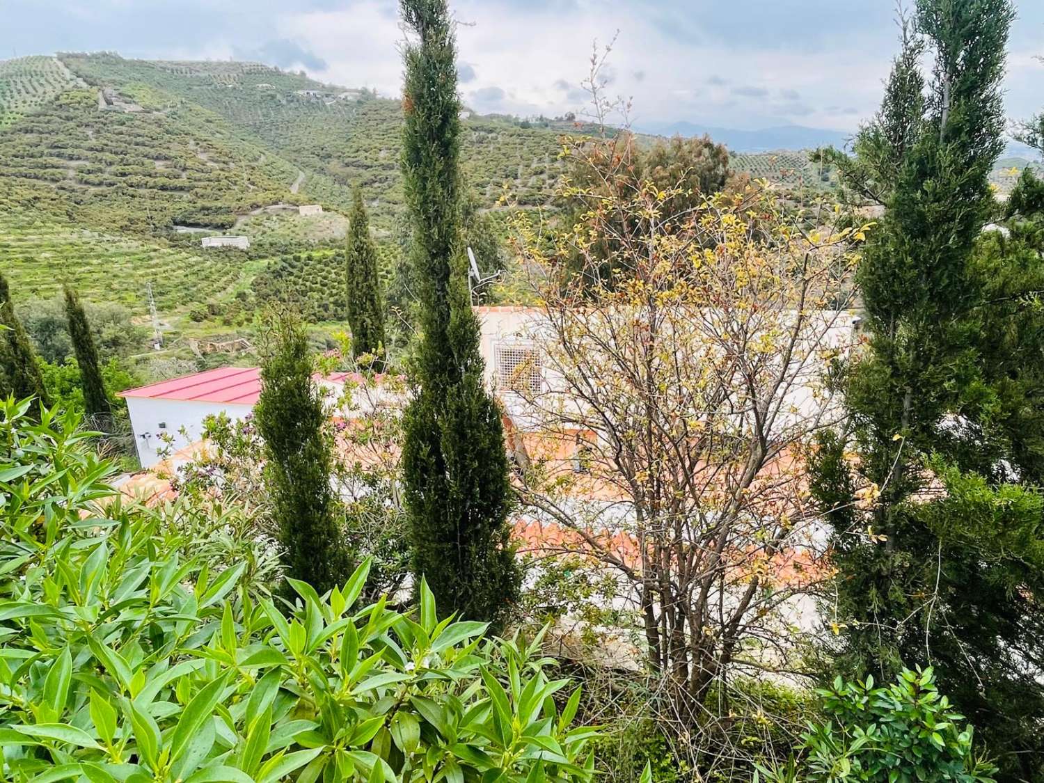 Maison de campagne avec piscine et vue sur la mer