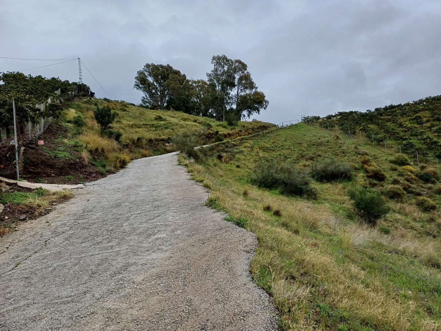 Terreno a Triana con acqua