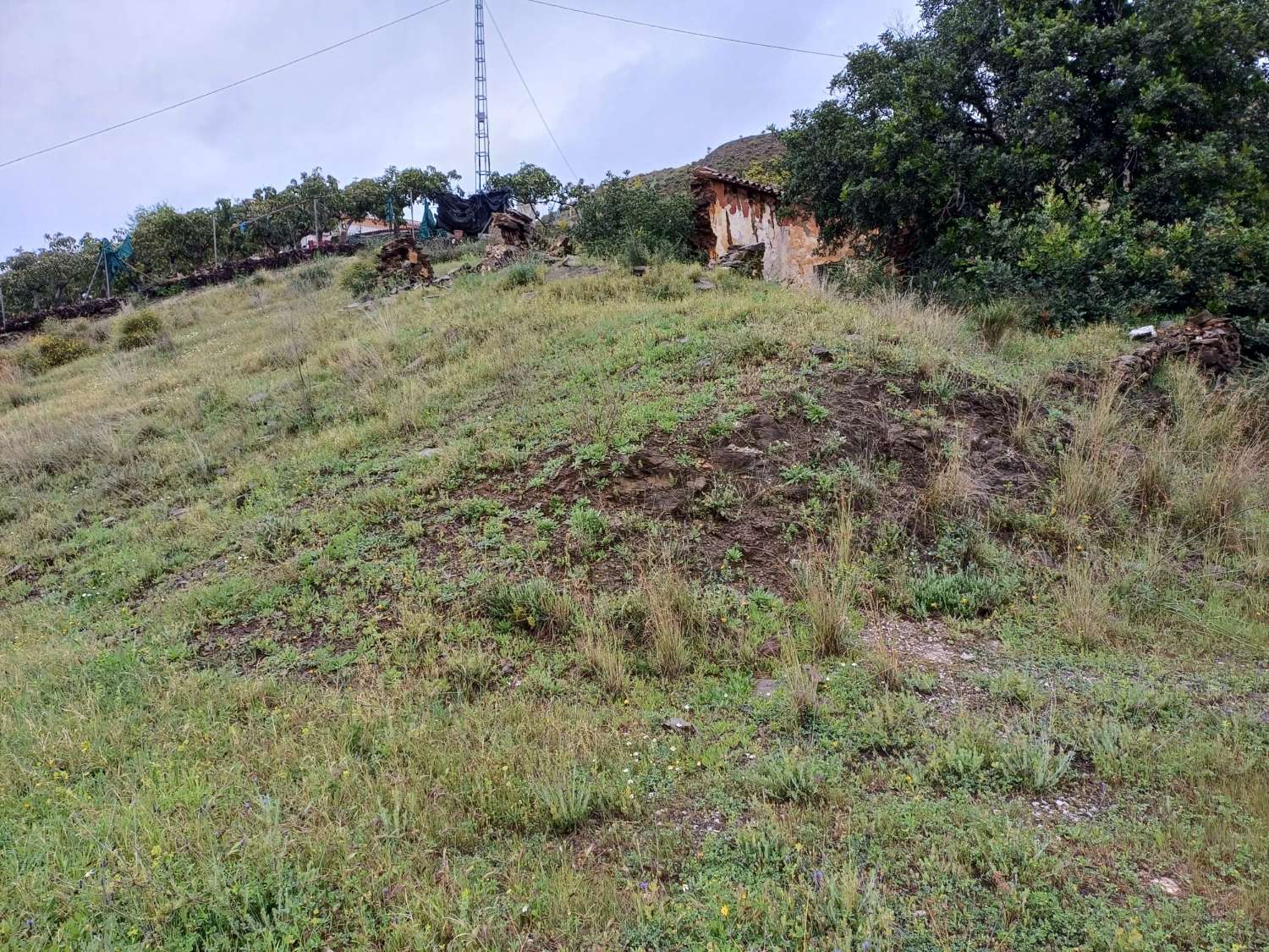 Участок в Триане с водой