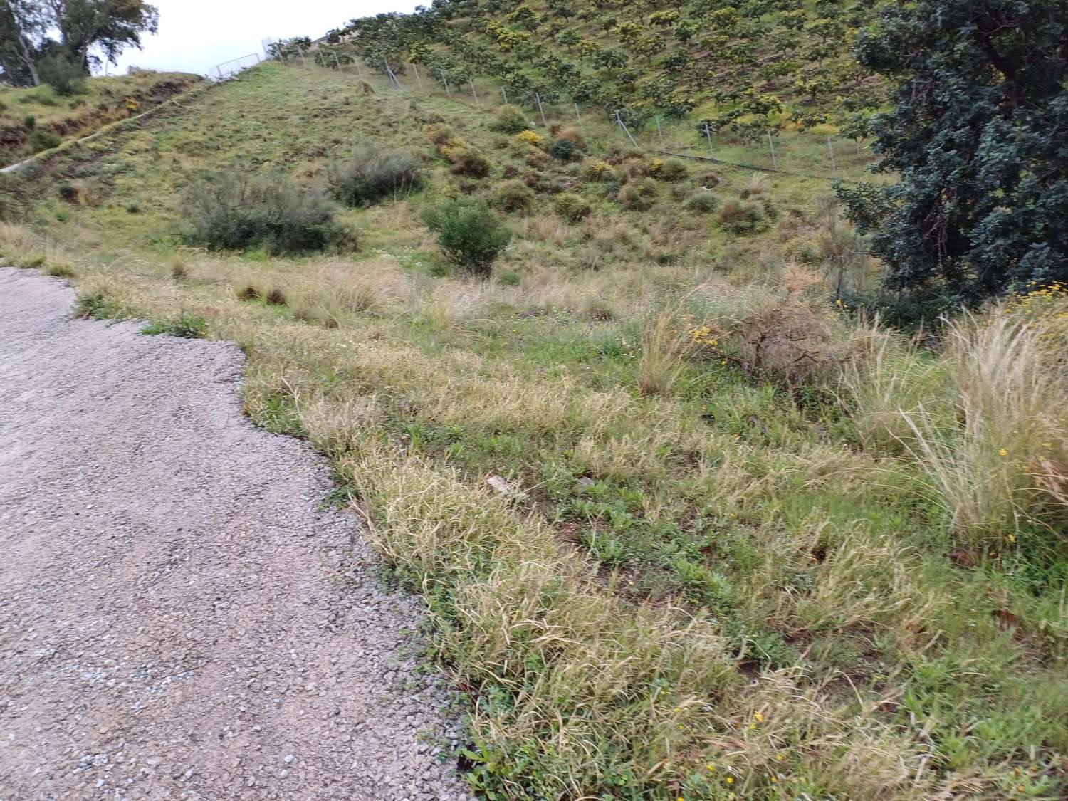 Grundstück in Triana mit Wasser