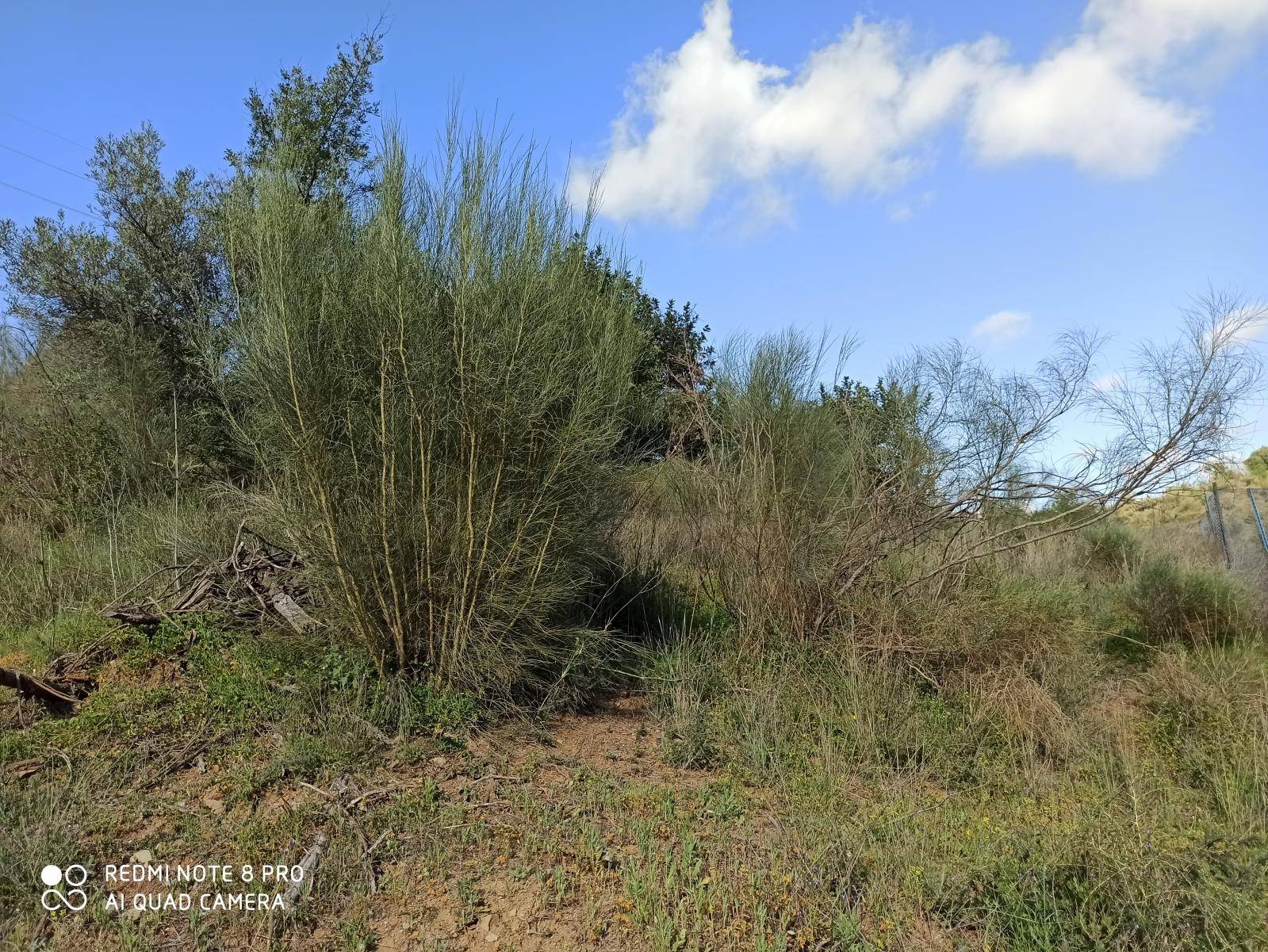 Parcela en venta en Benamocarra